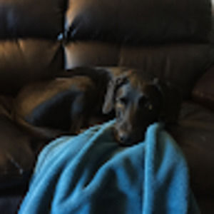 Meet your Posher, Diana